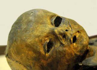 ETİ KEMİĞİ TÜRK: Selçuklu Çağında Mumyacılık