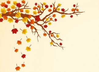 Geldi Yine Eylül… Ve Benim Ayaklarımdan Sehpaları Çektiler…