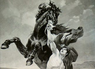 Kahraman hayvanlar gazeli