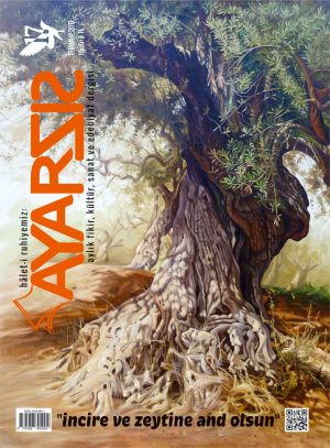 Ayarsız Temmuz 2017 Sayı:17
