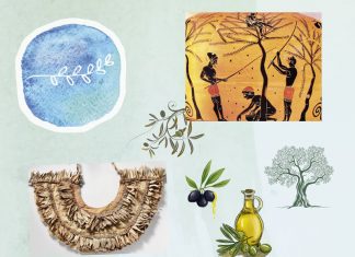 Âdem’in Işığı Zeytin: Kutsal Ağacın Arkeolojisi