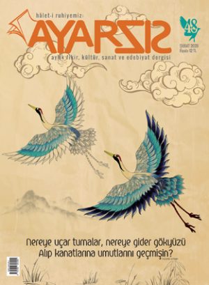 Ayarsız Şubat – 2020 Sayı:48