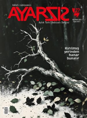 Ayarsız Haziran - 2025 Sayı:112