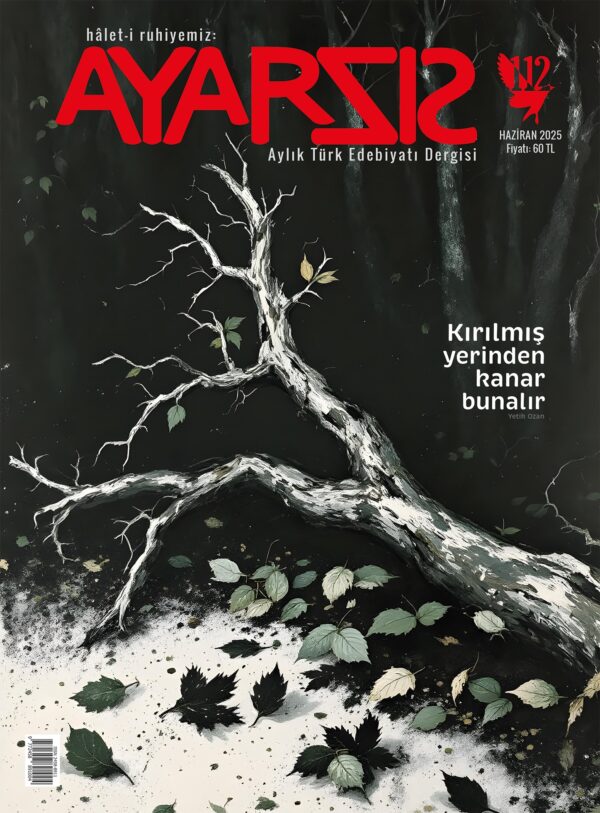 Ayarsız Haziran - 2025 Sayı:112