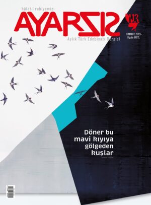 Ayarsız Temmuz - 2025 Sayı:113