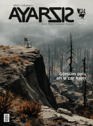 Ayarsız Ağustos - 2025 Sayı:114